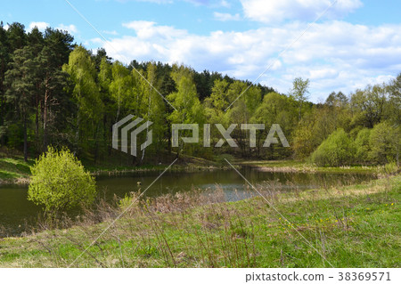River in the forest. Russia. Moscow region River in the forest. Russia. Moscow region 38369571
