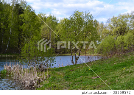 River in the forest. Russia. Moscow region River in the forest. Russia. Moscow region 38369572