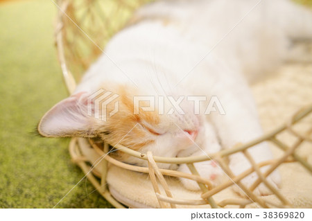 I'm sleepy. 38369820