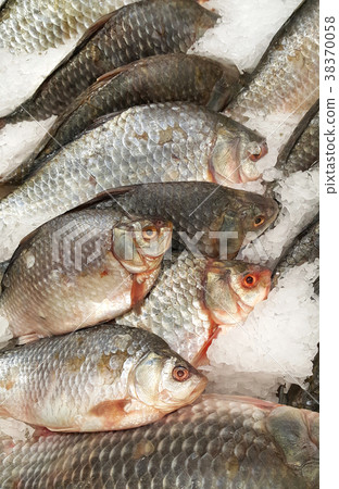 Cooled fish on ice for sale in market 38370058