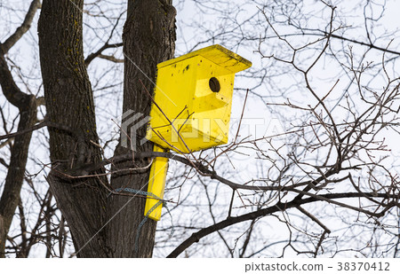 Wooden yellow birdhouse on a high tree in winter  38370412