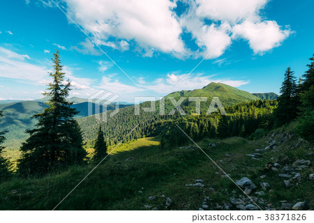 Picturesque summer landscape in sunny day 38371826