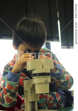 除顯微鏡以外的小學生 除顯微鏡以外的小學生 38373442