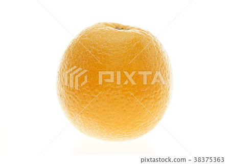 Navel Orange Australian White 38375363