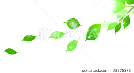 New green leaves landscape background 38376576