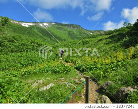 Kurobe source 38377245