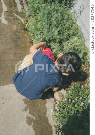 a watering can, watering can, watering-can 38377549