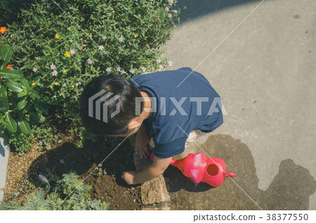 a watering can, watering can, watering-can 38377550