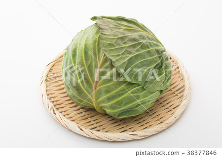 捲心菜 38377846