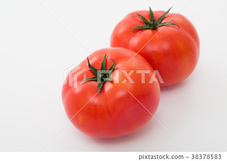 Tomato   38378583