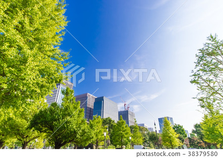 High-rise building in the office area and green 38379580