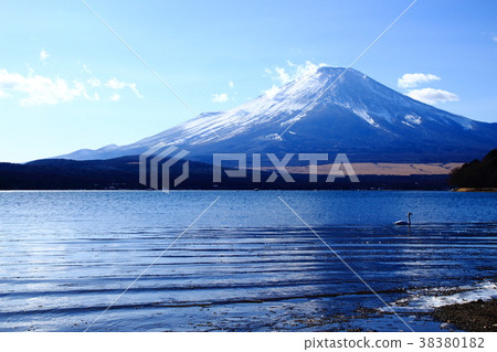 富士山，山中湖，平原地區，天鵝 38380182