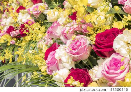 開架花 38380346