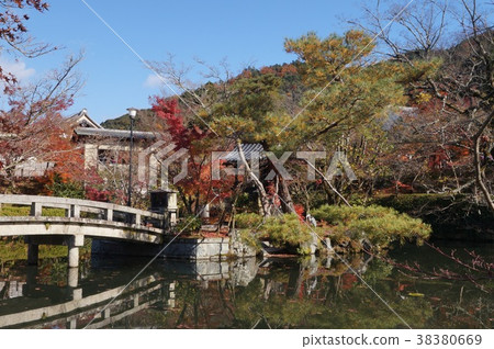 京都Eikan-do宿舍和Shimoun橋 京都Eikan-do宿舍和Shimoun橋 38380669