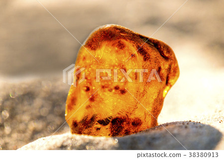 Amber on a beach of the Baltic Sea Amber on a beach of the Baltic Sea 38380913