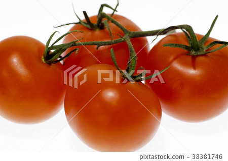 一堆西紅柿 38381746