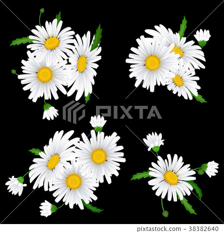 Bouquet realistic daisy, camomile flowers Bouquet realistic daisy, camomile flowers 38382640