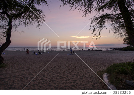 美國,夏威夷 美國,夏威夷 38383296