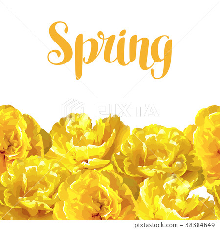 Seamless pattern with fluffy yellow tulips Seamless pattern with fluffy yellow tulips 38384649