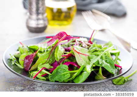 Healthy vegetarian dish, leafy salad 38385059