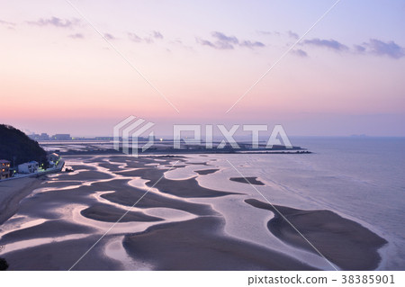 Shinkai的平面著陸 38385901