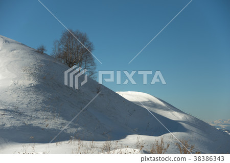 Winter minimalistic landscape of a snow-capped Winter minimalistic landscape of a snow-capped 38386343