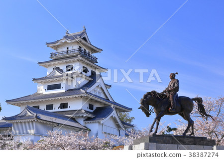 櫻花imabari城堡 38387274