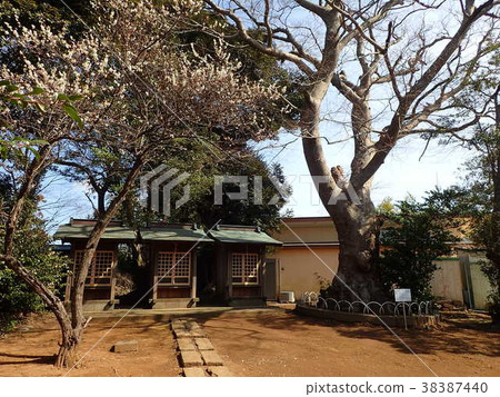Usui Inari Shrine Usui Inari Shrine 38387440