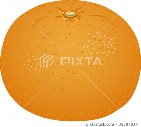 Summertime orange - Stock Illustration [38387837] - PIXTA