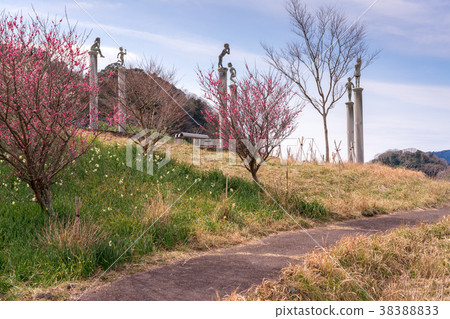 [千葉] Sakuma Dam湖的李子 38388833