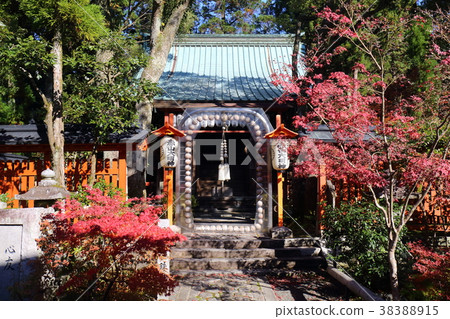 Kyoto Akayama Zenin Temple Shonen Temple in front of the main hall 38388915