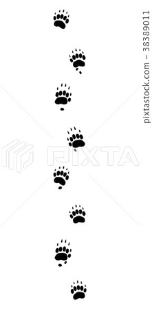 Badger Tracks Black Footprints Badger Tracks Black Footprints 38389011