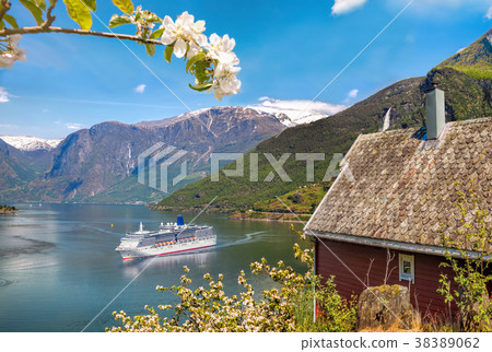 Red cottage with cruise ship in fjord,Flam, Norway Red cottage with cruise ship in fjord,Flam, Norway 38389062