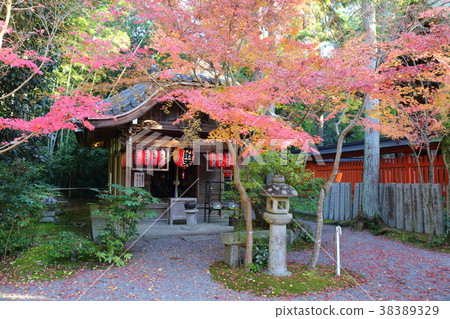 Kyoto Akayama Zenin Temple Benzaiten Kyoto Akayama Zenin Temple Benzaiten 38389329