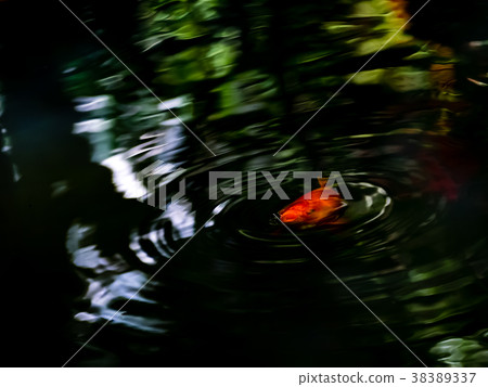Summer image Summer image 38389337