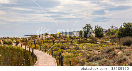 wooden boardwalk in the dunes wooden boardwalk in the dunes 38389530