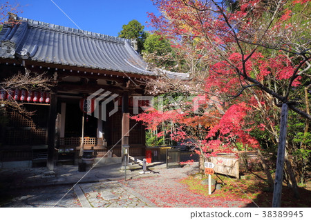 Kyoto Autumn Akayama Zenin Jizodo 38389945