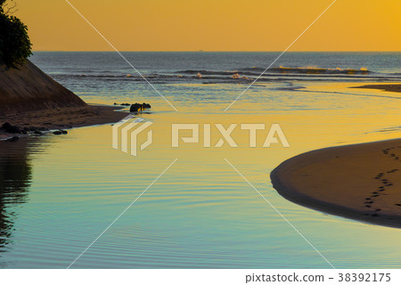 海邊日落海上日落永安漁港台灣海邊海邊海邊沙灘 38392175