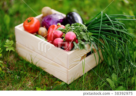 wooden crate with fresh organic vegetables wooden crate with fresh organic vegetables 38392975