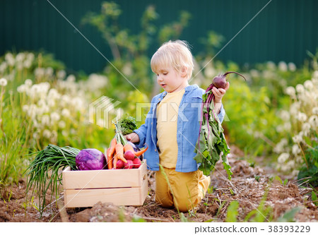 Cute little boy holding fresh organic beet Cute little boy holding fresh organic beet 38393229