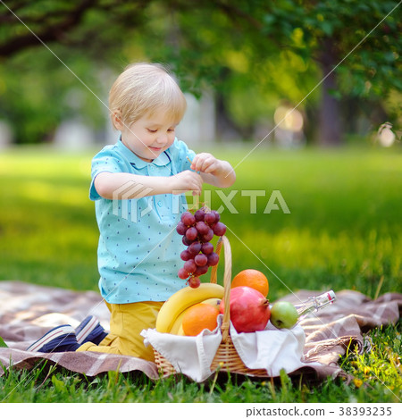 little boy having a picnic in summer sunny park 38393235