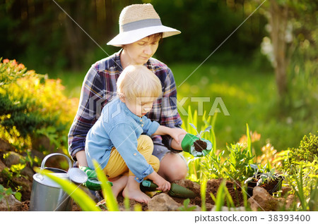 Beautiful woman and her cute son planting seedlings in bed in the domestic garden at summer day Beautiful woman and her cute son planting seedlings in bed in the domestic garden at summer day 38393400