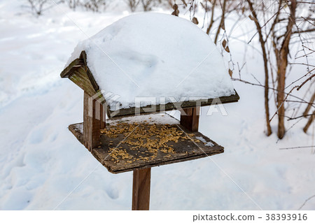 Feeder for birds in the park 38393916