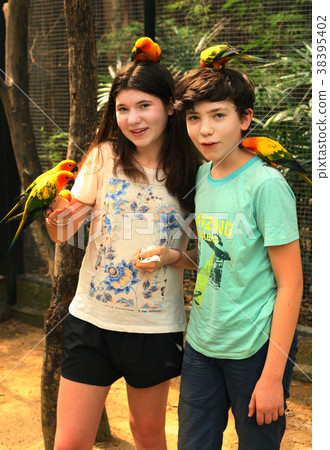 teenager siblings boy and girl in open air zoo 38395402