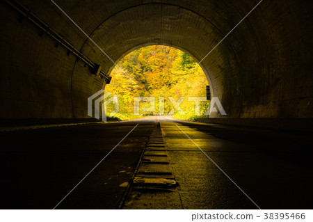 Autumn leaves seen from the tunnel of Arimine Forest Road Autumn leaves seen from the tunnel of Arimine Forest Road 38395466