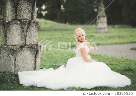 Beautiful elegant bride with perfect wedding dress Beautiful elegant bride with perfect wedding dress 38395530