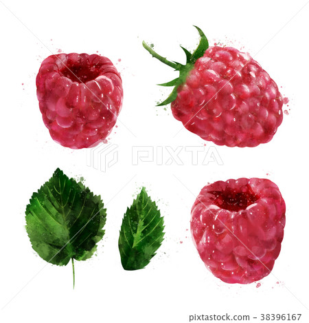 Raspberries on white background. Watercolor 38396167