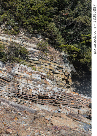 Wakasaki Coast 38396887