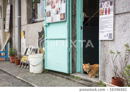 Taiwan Houton (Nekomura) 38396982