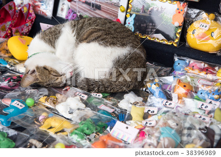 Taiwan Houton (Nekomura) 38396989